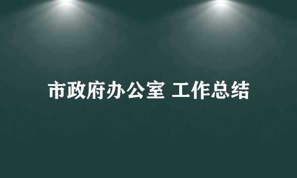 市政府办公室 工作总结