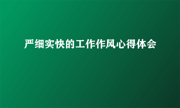 严细实快的工作作风心得体会