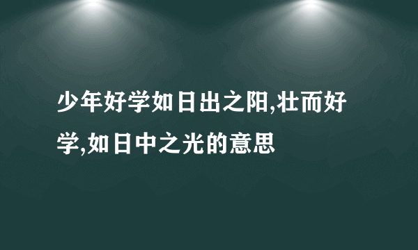 少年好学如日出之阳,壮而好学,如日中之光的意思