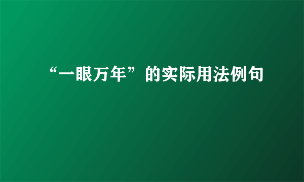 “一眼万年”的实际用法例句