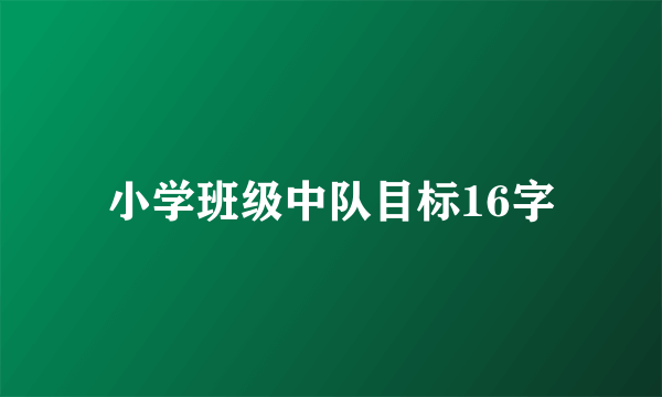 小学班级中队目标16字
