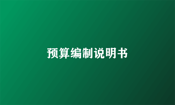 预算编制说明书
