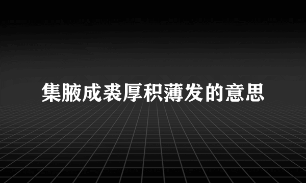 集腋成裘厚积薄发的意思