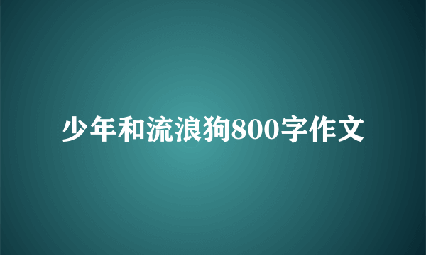少年和流浪狗800字作文