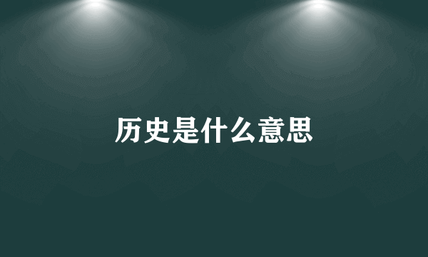 历史是什么意思