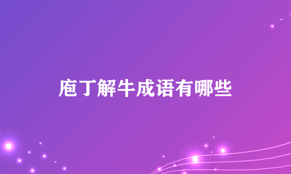 庖丁解牛成语有哪些