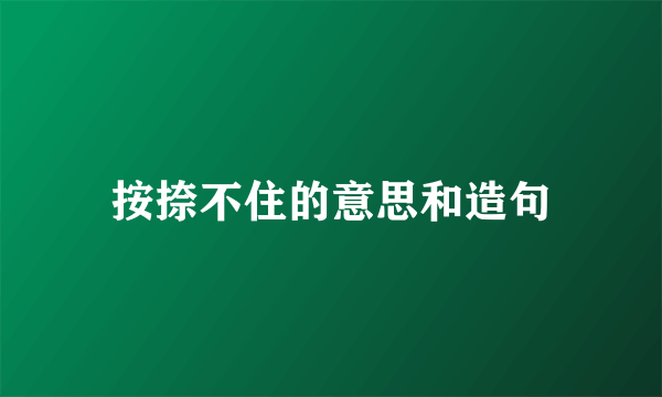 按捺不住的意思和造句