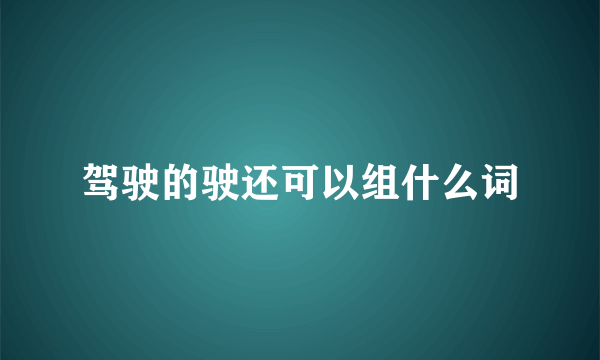 驾驶的驶还可以组什么词