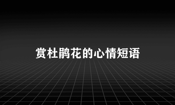 赏杜鹃花的心情短语