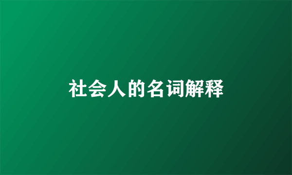 社会人的名词解释