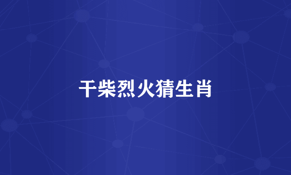 干柴烈火猜生肖