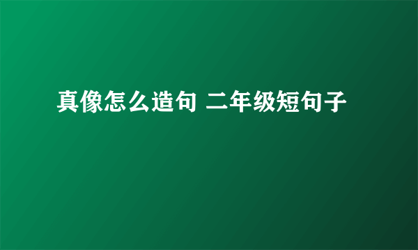 真像怎么造句 二年级短句子