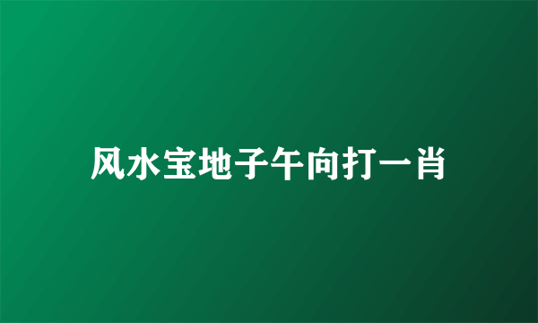 风水宝地子午向打一肖