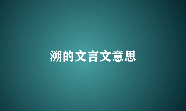 溯的文言文意思