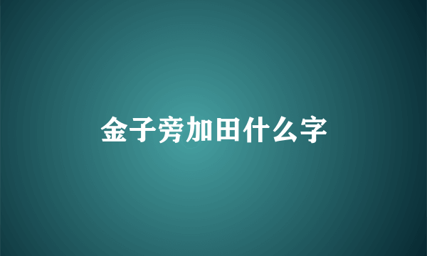 金子旁加田什么字