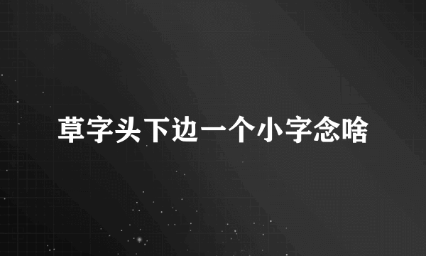 草字头下边一个小字念啥