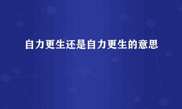 自力更生还是自力更生的意思