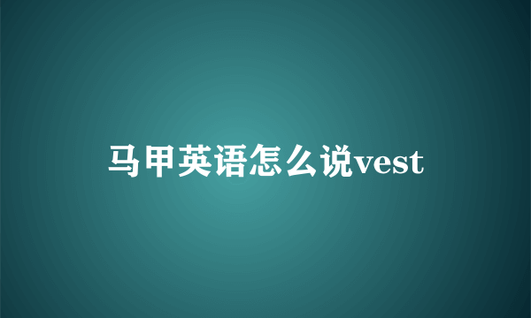 马甲英语怎么说vest