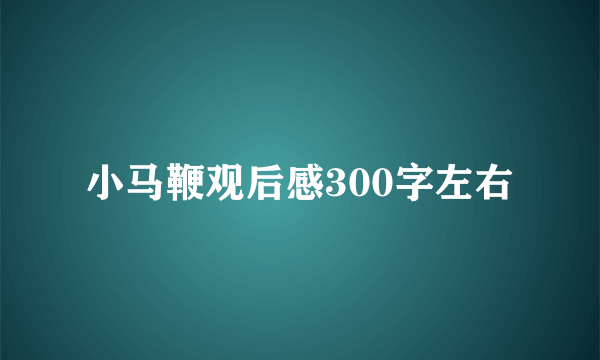 小马鞭观后感300字左右