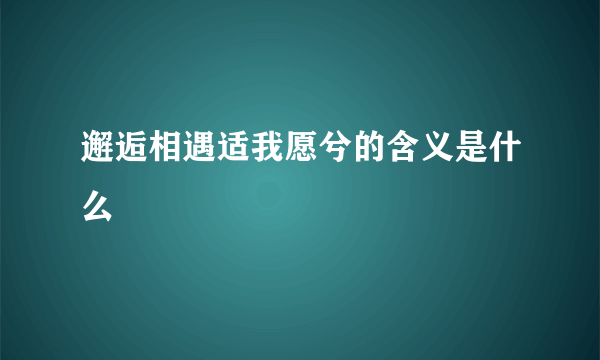 邂逅相遇适我愿兮的含义是什么