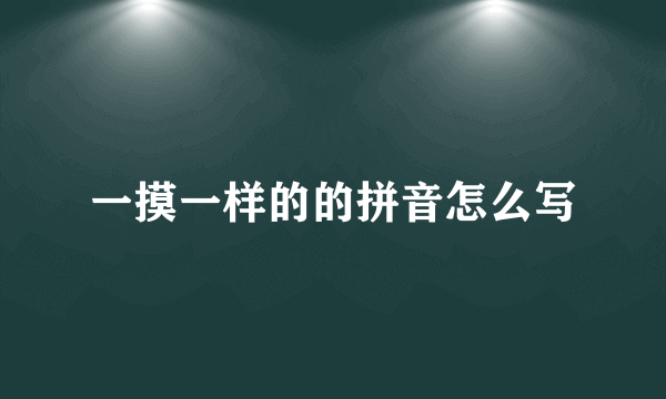 一摸一样的的拼音怎么写