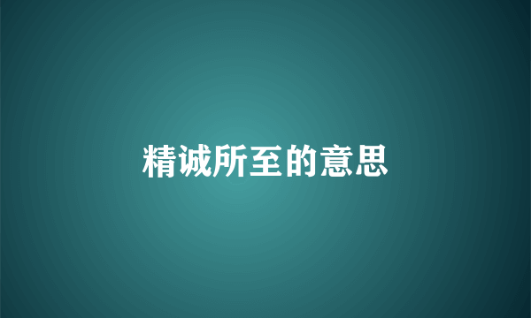 精诚所至的意思