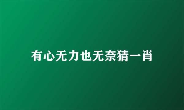 有心无力也无奈猜一肖