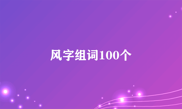 风字组词100个