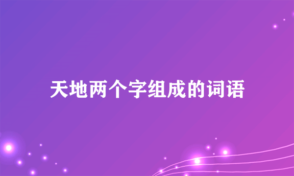 天地两个字组成的词语