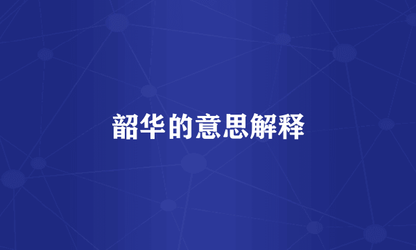 韶华的意思解释