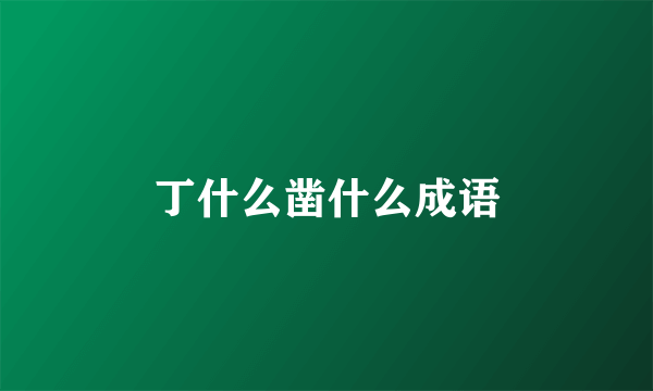 丁什么凿什么成语