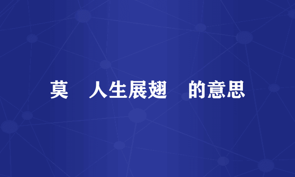 莫負人生展翅飛的意思