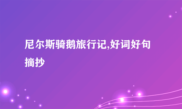 尼尔斯骑鹅旅行记,好词好句摘抄