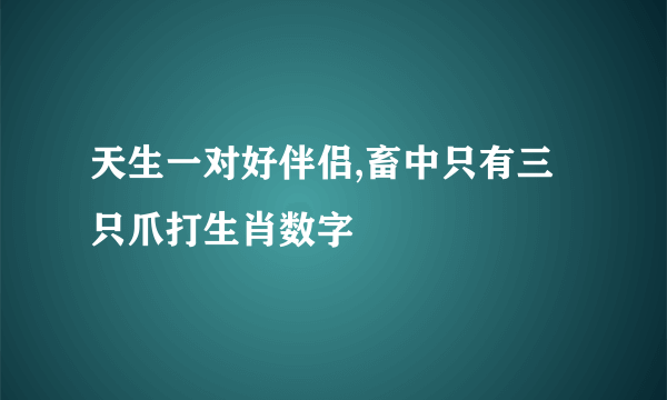 天生一对好伴侣,畜中只有三只爪打生肖数字