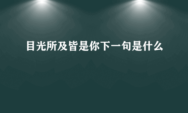 目光所及皆是你下一句是什么
