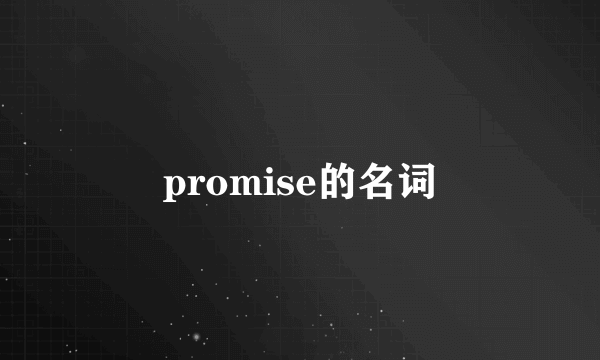 promise的名词