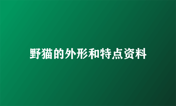 野猫的外形和特点资料