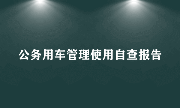 公务用车管理使用自查报告