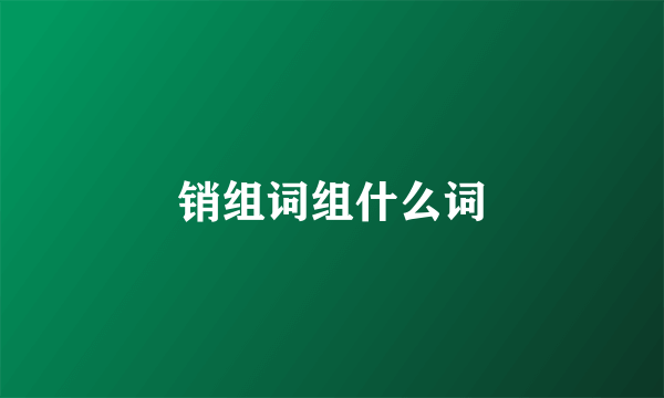 销组词组什么词