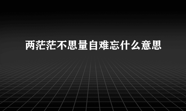 两茫茫不思量自难忘什么意思