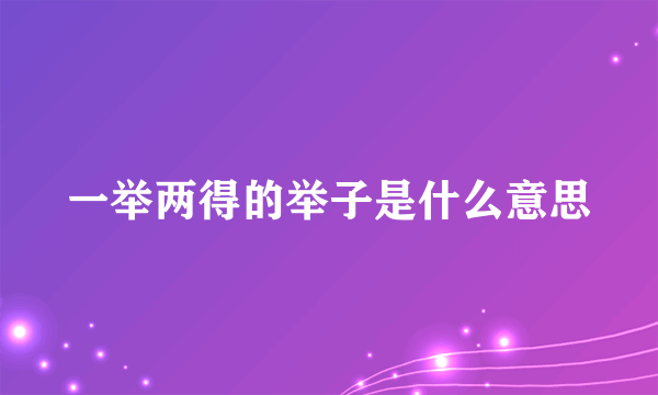 一举两得的举子是什么意思