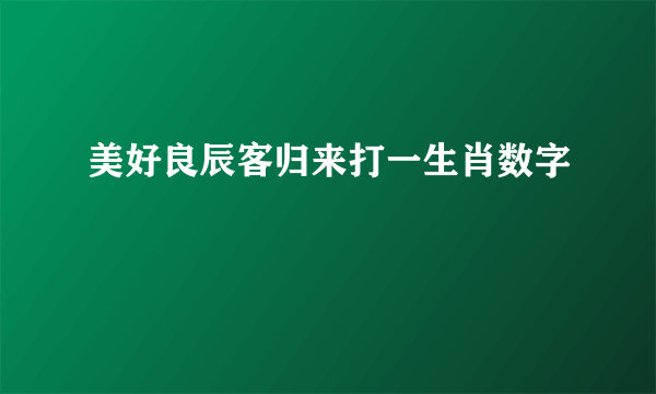 美好良辰客归来打一生肖数字