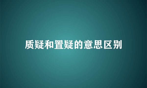 质疑和置疑的意思区别