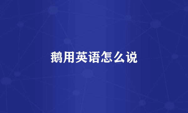 鹅用英语怎么说