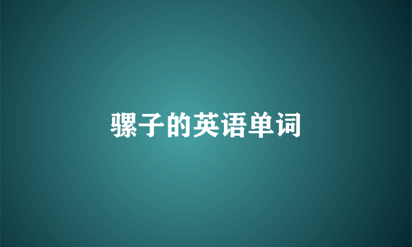 骡子的英语单词