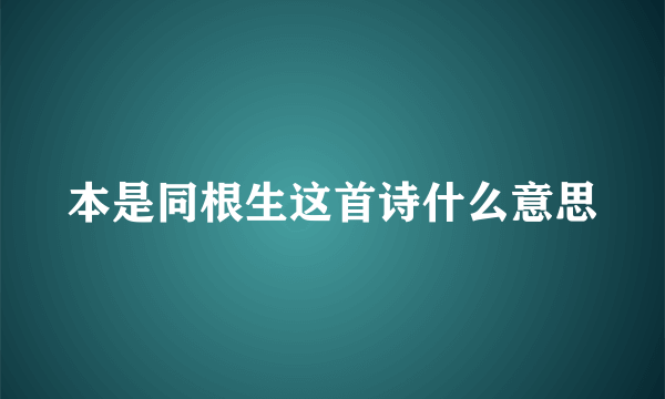 本是同根生这首诗什么意思