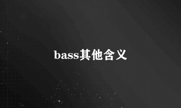 bass其他含义