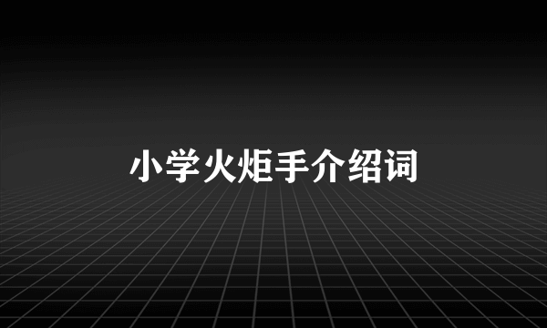 小学火炬手介绍词