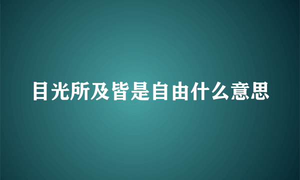 目光所及皆是自由什么意思