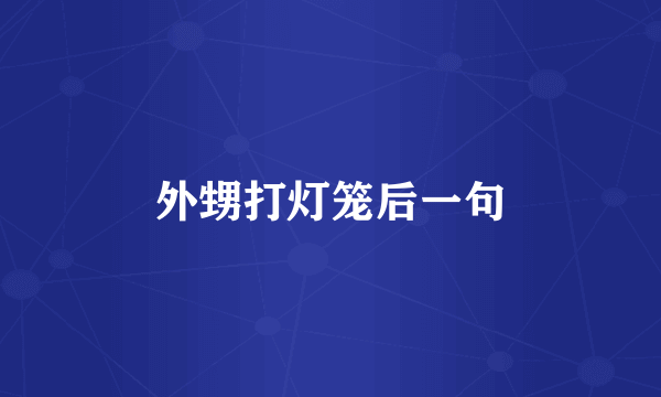 外甥打灯笼后一句
